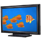 50 inch disply with outstanding picture for, computer presentations, dvd movies and with use of a vhs tv turner a great TV