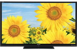 Rent 65 inch LCD